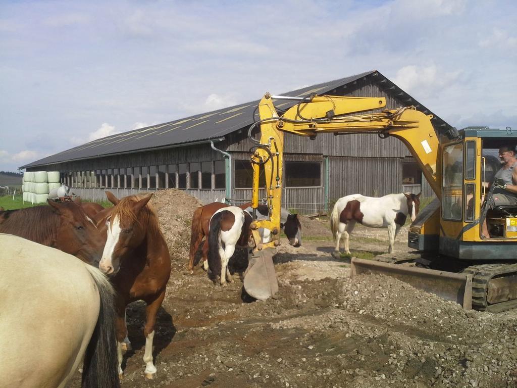 Espi-Stables Ferienhof Esterhammer Liebenau  Εξωτερικό φωτογραφία